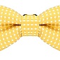Бабочка-галстук BD20015-9 купить оптом